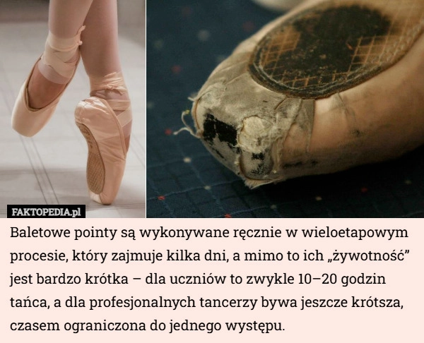 
    Baletowe pointy są wykonywane ręcznie w wieloetapowym procesie, który zajmuje...