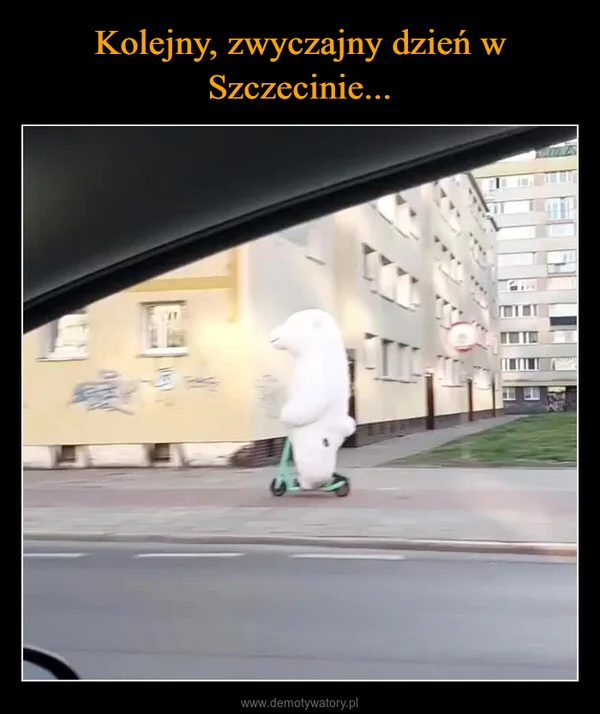 
    Kolejny, zwyczajny dzień w Szczecinie...
