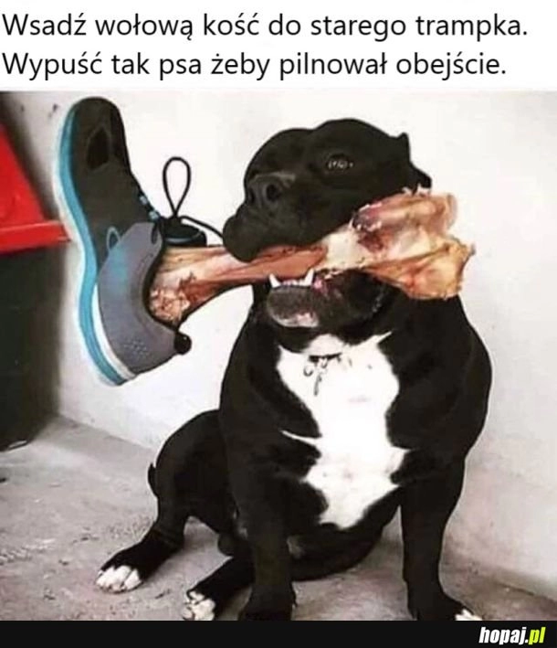 
    Najlepiej przed kolędą