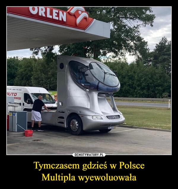 
    Tymczasem gdzieś w Polsce
Multipla wyewoluowała