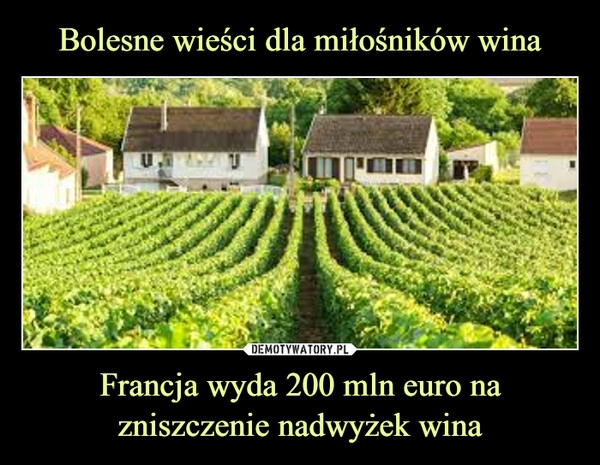 
    Bolesne wieści dla miłośników wina Francja wyda 200 mln euro na zniszczenie nadwyżek wina