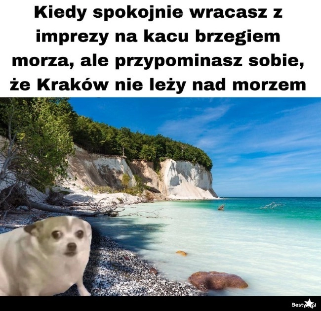 
    Powrót z imprezy 