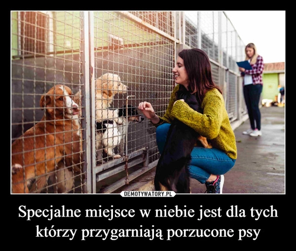 
    Specjalne miejsce w niebie jest dla tych którzy przygarniają porzucone psy