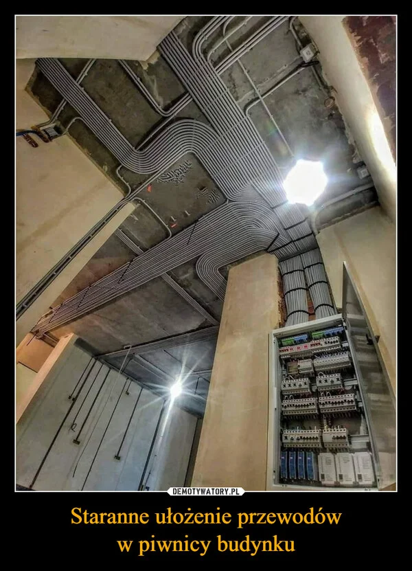 
    Staranne ułożenie przewodów w piwnicy budynku