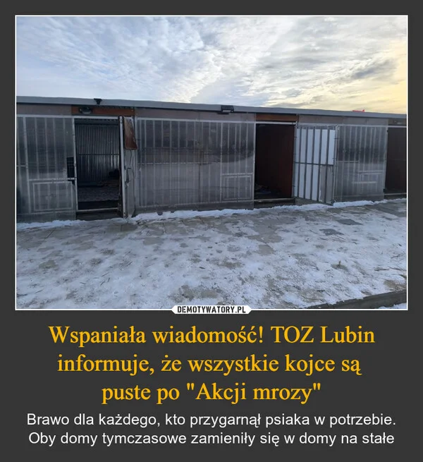 
    Wspaniała wiadomość! TOZ Lubin informuje, że wszystkie kojce są puste po 