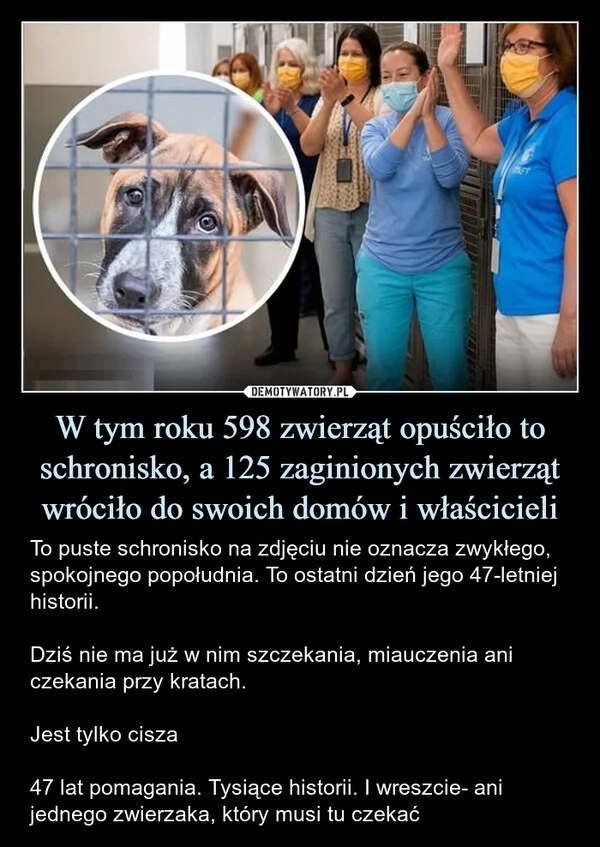 
    W tym roku 598 zwierząt opuściło to schronisko, a 125 zaginionych zwierząt wróciło do swoich domów i właścicieli
