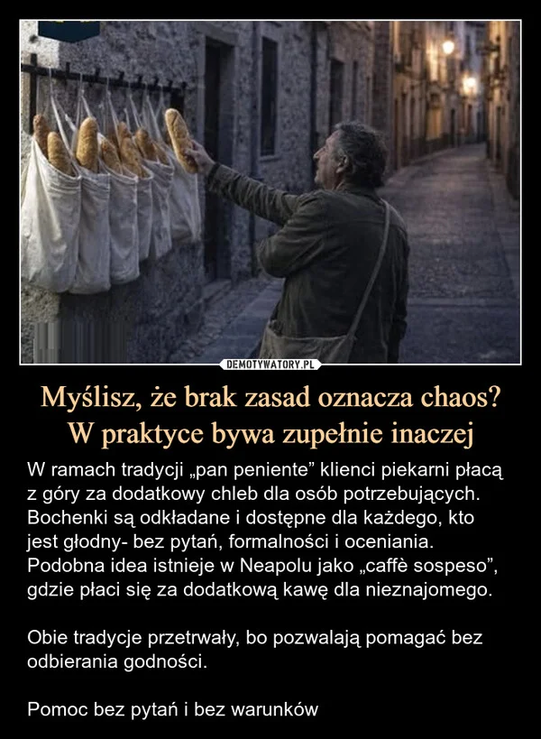 Myślisz, że brak zasad oznacza chaos? W praktyce bywa zupełnie inaczej