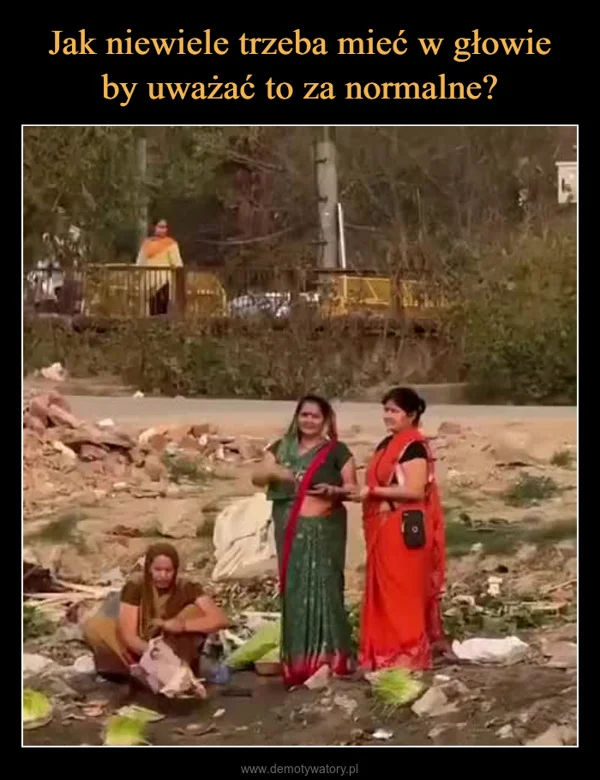 Jak niewiele trzeba mieć w głowie by uważać to za normalne?