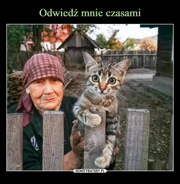 Odwiedź mnie czasami
