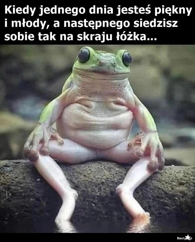 
    Kiedy to się stało?! 