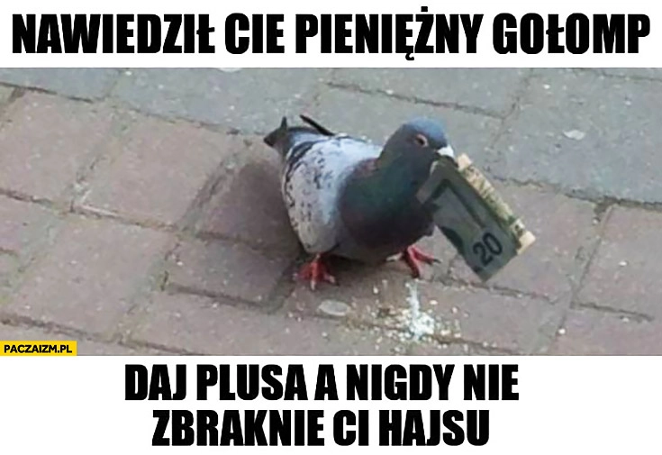 
    Nawiedził Cię pieniężny gołąb, daj plusa a nigdy nie zabraknie Ci hajsu