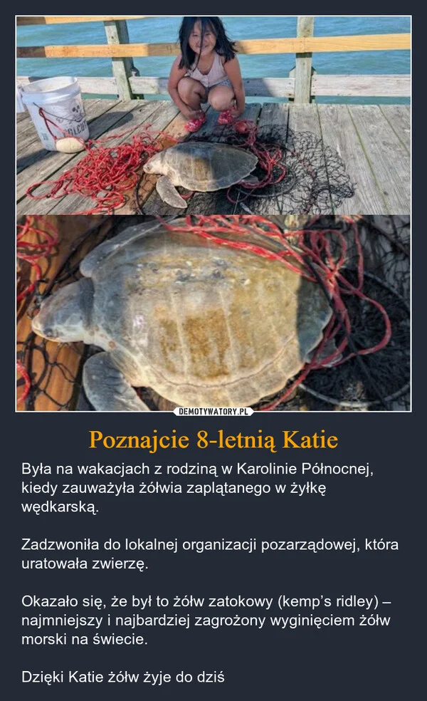 
    Poznajcie 8-letnią Katie