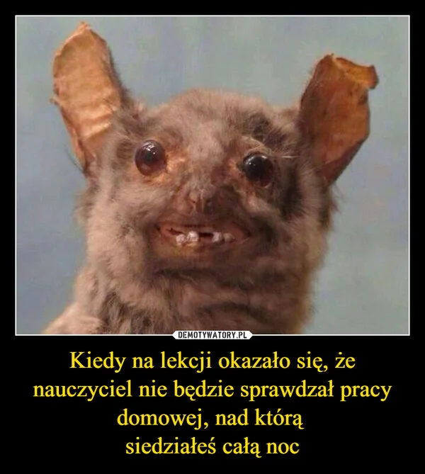 
    Kiedy na lekcji okazało się, że nauczyciel nie będzie sprawdzał pracy domowej, nad którą siedziałeś całą noc