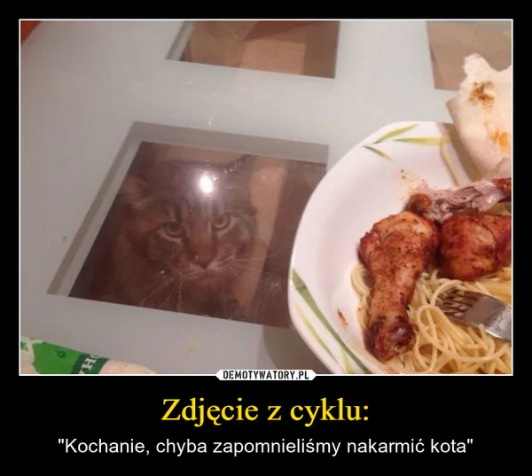 
    Zdjęcie z cyklu: