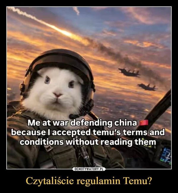 
    Czytaliście regulamin Temu?