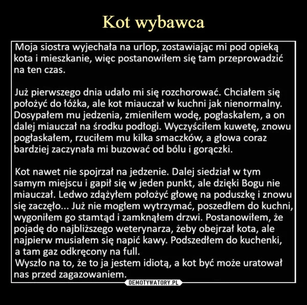 
    Kot wybawca