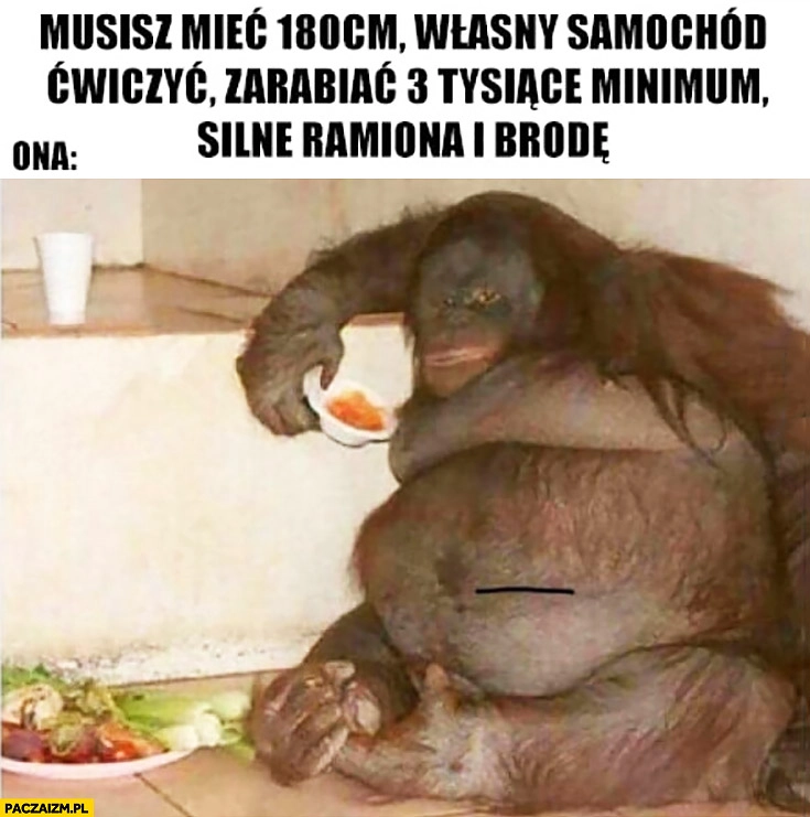
    Musisz mieć 180 cm, własny samochód, ćwiczyć zarabiać 3 tysiące, silne ramiona i brodę. Ona: gruby szympans