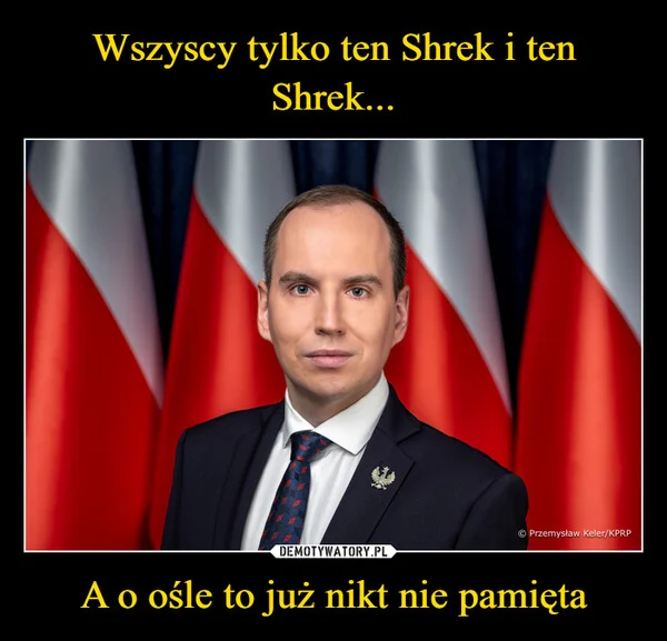 
    Wszyscy tylko ten Shrek i ten Shrek... A o ośle to już nikt nie pamięta