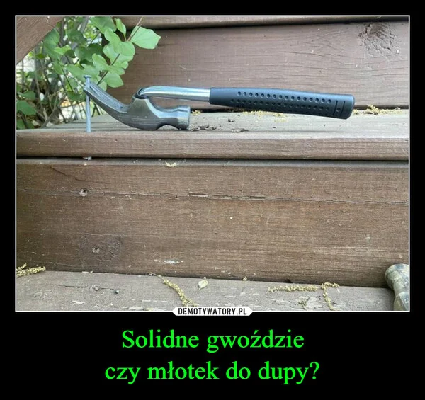 
    Solidne gwoździe czy młotek do dupy?
