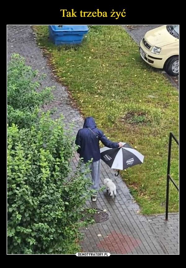 
    Tak trzeba żyć