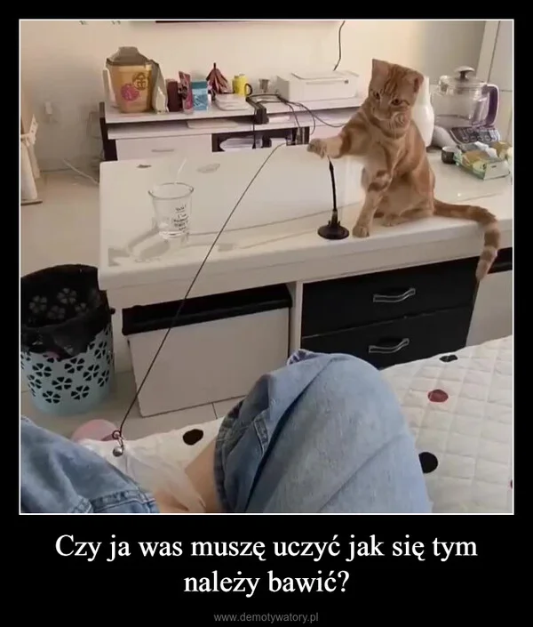 
    Czy ja was muszę uczyć jak się tym należy bawić?