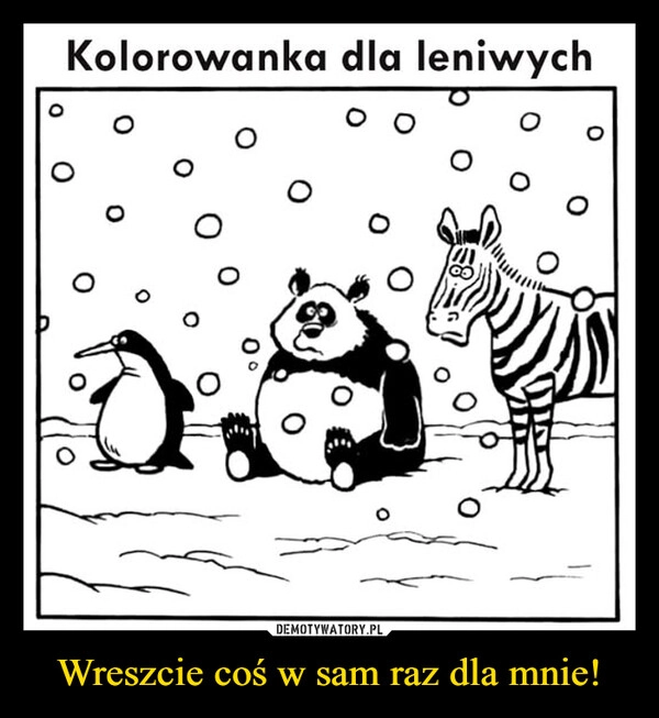 
    Wreszcie coś w sam raz dla mnie!