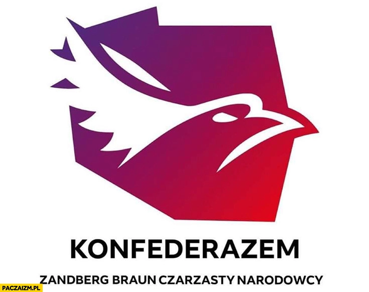 
    Konfederazem konfederacja partia razem logo przeróbka Zandberg Braun Czarzasty narodowcy