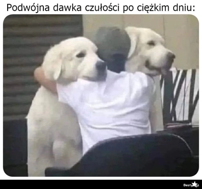 
    Podwójna dawka czułości 