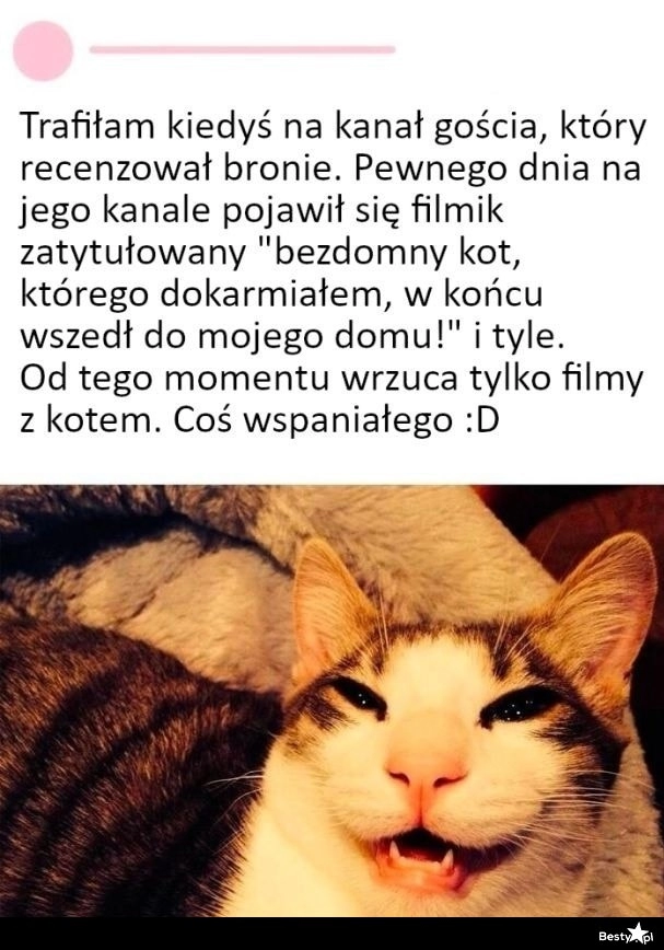 
    Zmiana contentu 