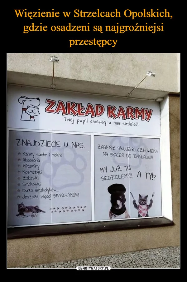 
    Więzienie w Strzelcach Opolskich, gdzie osadzeni są najgroźniejsi przestępcy