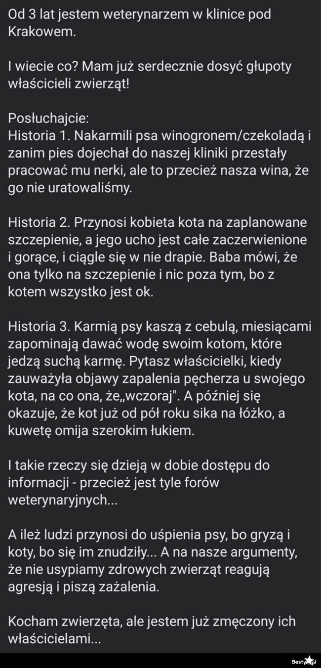 
    Kilka słów o właścicielach zwierząt 