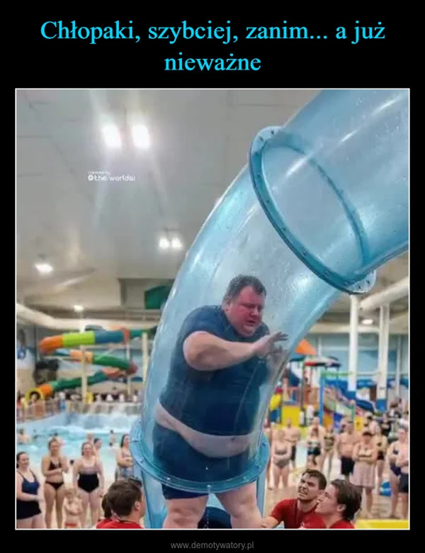 
    Chłopaki, szybciej, zanim... a już nieważne