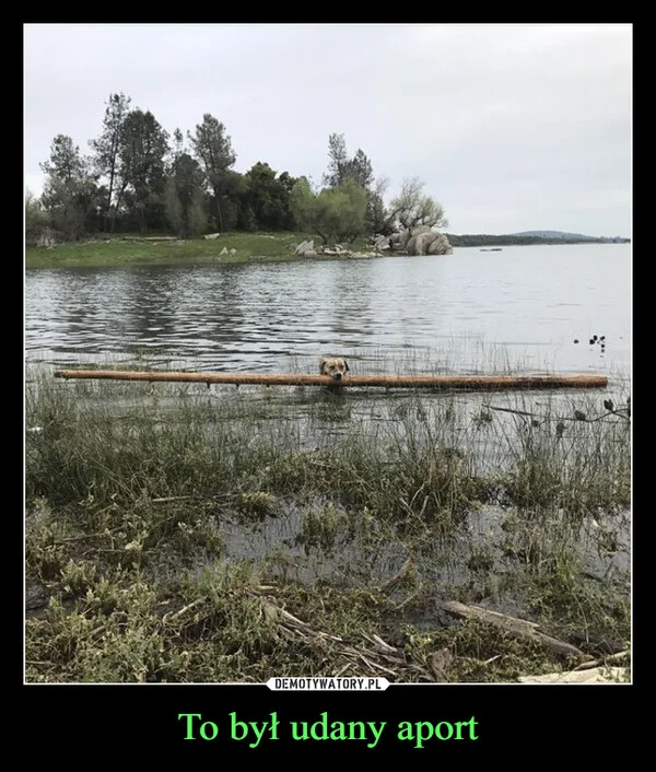
    To był udany aport