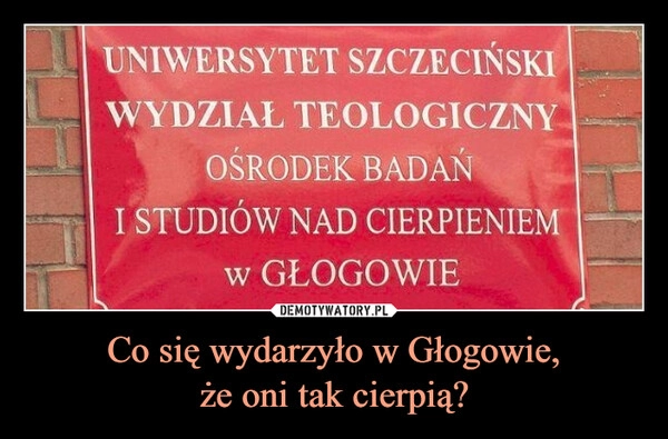 
    Co się wydarzyło w Głogowie,
że oni tak cierpią?