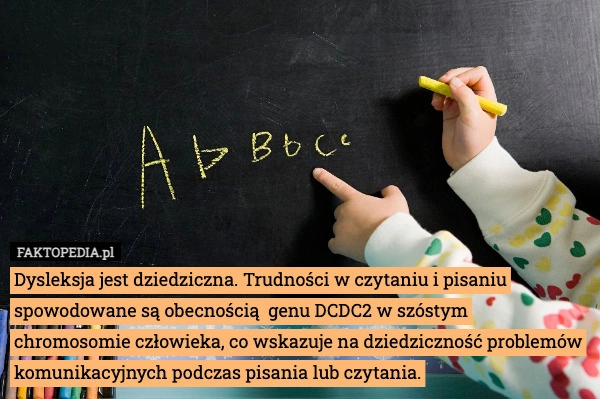 
    Dysleksja jest dziedziczna. Trudności w czytaniu i pisaniu spowodowane są