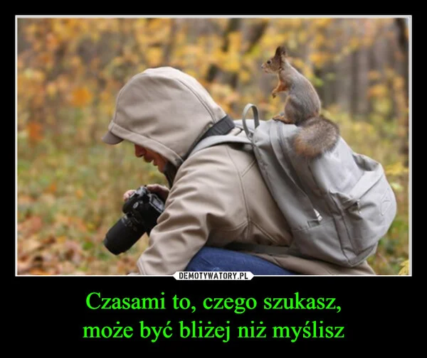 
    Czasami to, czego szukasz, może być bliżej niż myślisz