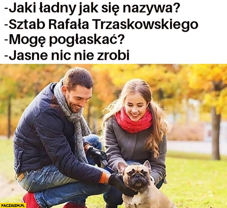 
    Jaki ładny, jak się nazywa? Sztab Rafała Trzaskowskiego, mogę pogłaskać? Jasne nic nie zrobi