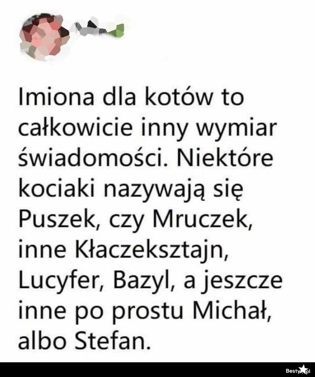 
    Imiona dla kotów 