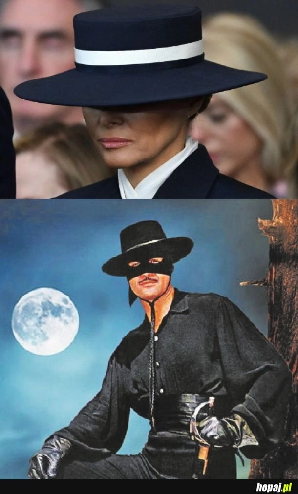 
    Zorro.