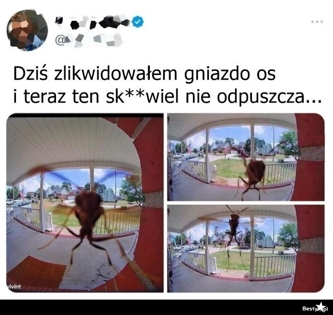 
    To się porobiło 