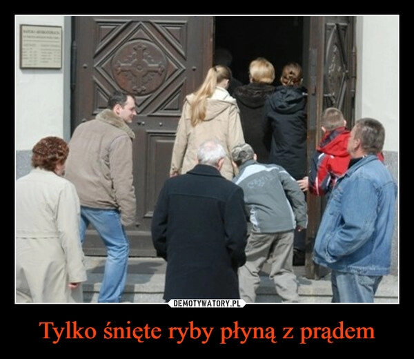 
    Tylko śnięte ryby płyną z prądem 