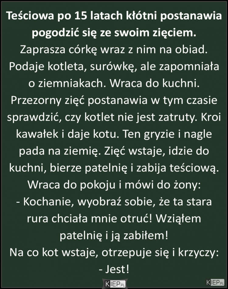 
    Teściowa po 15 latach kłótni postanawia pogodzić się ze swoim zięciem...