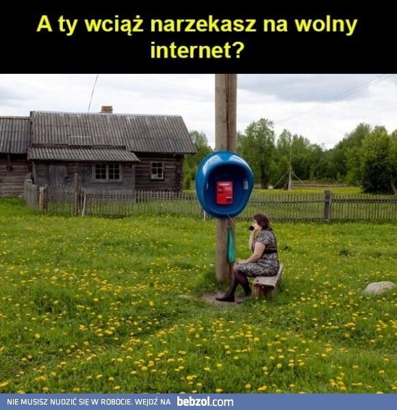 Wolny internet 