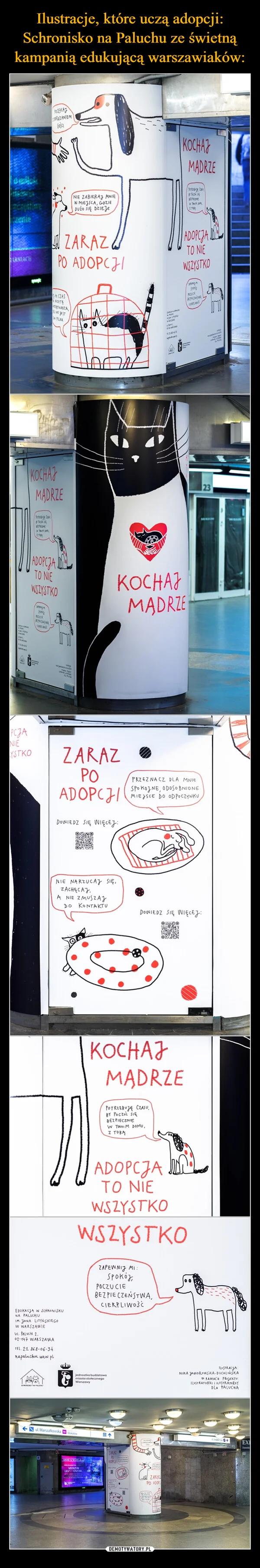 
    Ilustracje, które uczą adopcji: Schronisko na Paluchu ze świetną kampanią edukującą warszawiaków: