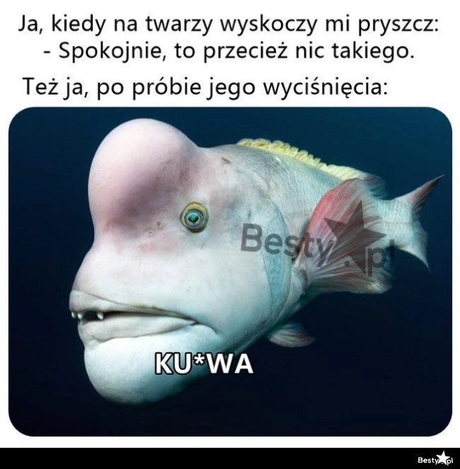 
    Jeszcze gorzej 