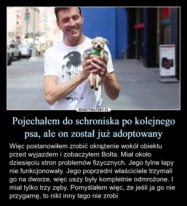 
    Pojechałem do schroniska po kolejnego psa, ale on został już adoptowany
