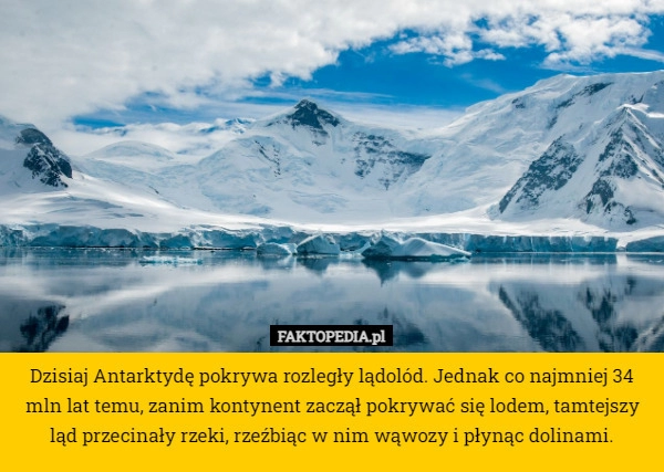 
    Dzisiaj Antarktydę pokrywa rozległy lądolód. Jednak co najmniej 34 mln lat