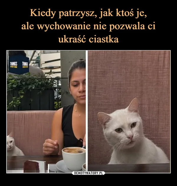 Kiedy patrzysz, jak ktoś je, ale wychowanie nie pozwala ci ukraść ciastka