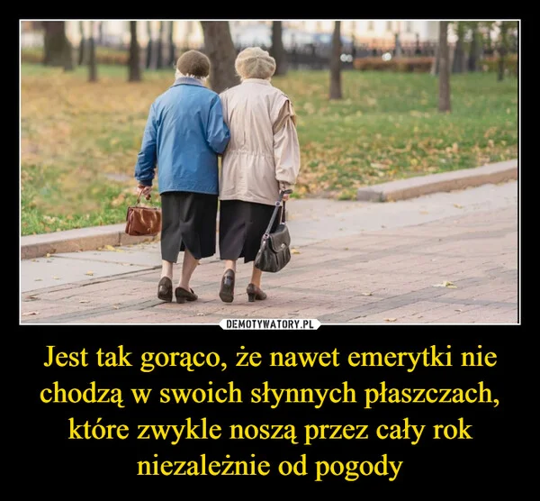 
    Jest tak gorąco, że nawet emerytki nie chodzą w swoich słynnych płaszczach, które zwykle noszą przez cały rok niezależnie od pogody