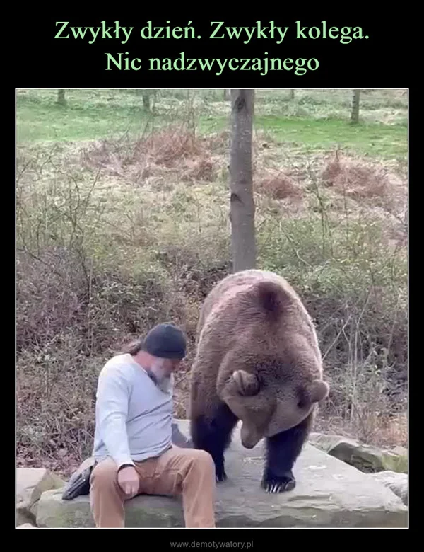 
    Zwykły dzień. Zwykły kolega. Nic nadzwyczajnego